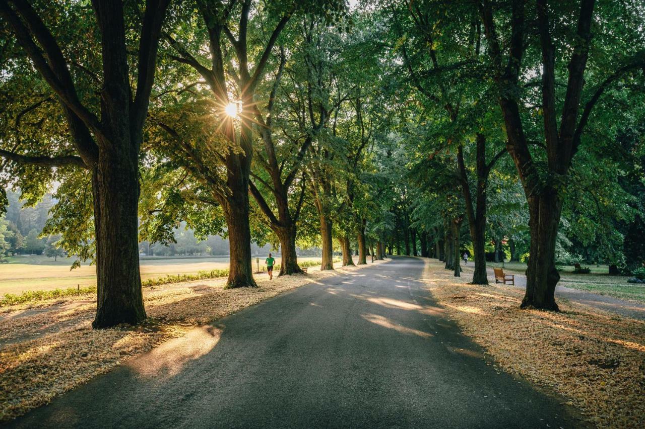Allee *